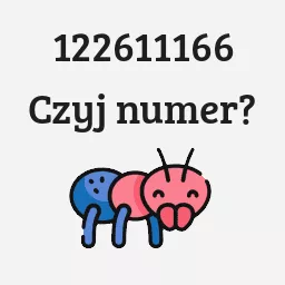 122611166