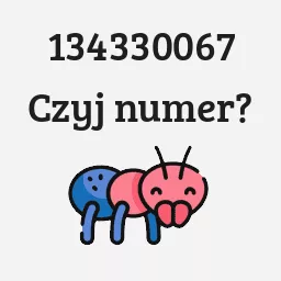 134330067