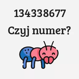 134338677