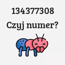 134377308