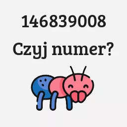 146839008