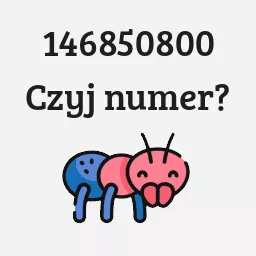 146850800