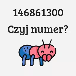 146861300