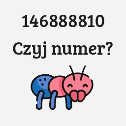 146888810