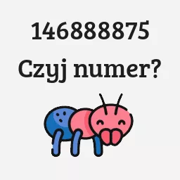 146888875