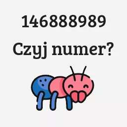 146888989