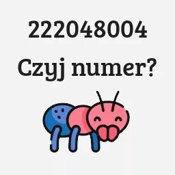 222048004