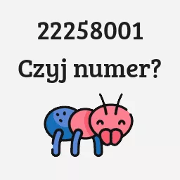 22258001