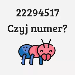 22294517