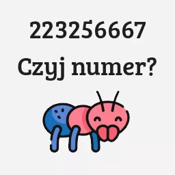 223256667