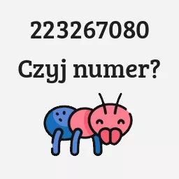 223267080