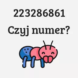 223286861