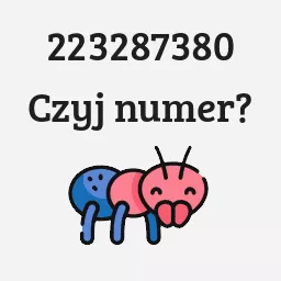 223287380