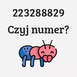 223288829