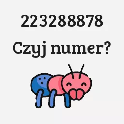 223288878