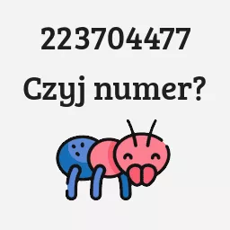 223704477