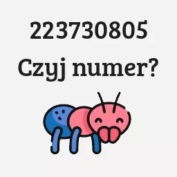 223730805