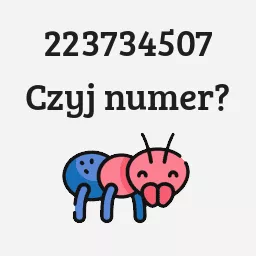 223734507