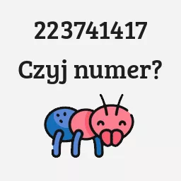 223741417