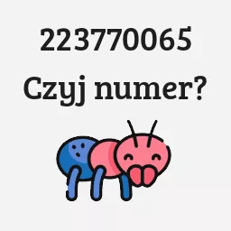 223770065