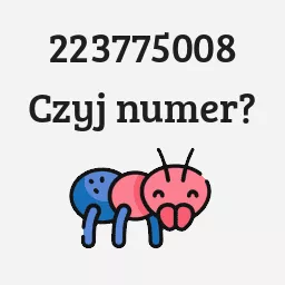 223775008