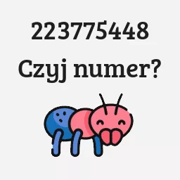 223775448