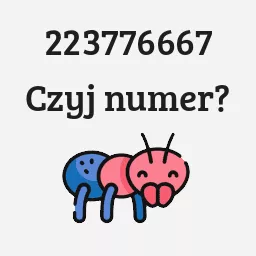 223776667