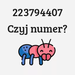 223794407