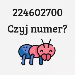 224602700