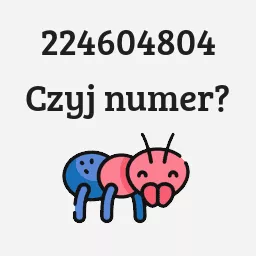 224604804