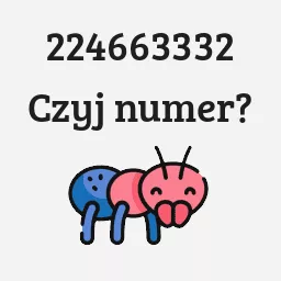 224663332