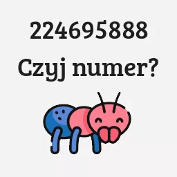 224695888