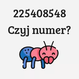 225408548