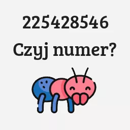 225428546