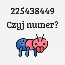 225438449