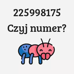 225998175