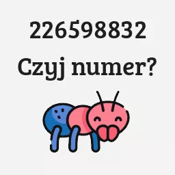 226598832