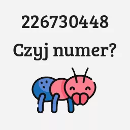 226730448