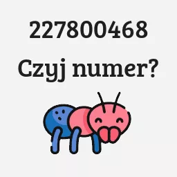 227800468