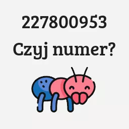 227800953