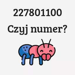 227801100