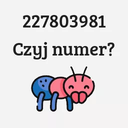 227803981