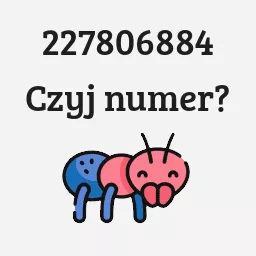 227806884