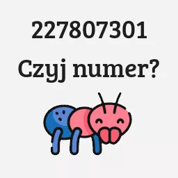 227807301