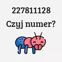 227811128