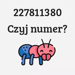 227811380