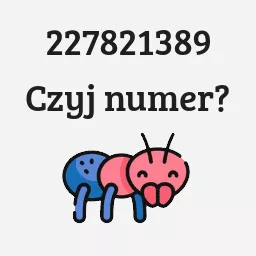 227821389