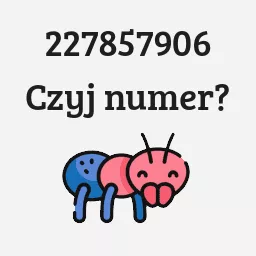 227857906