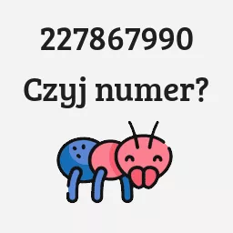 227867990