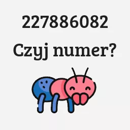 227886082